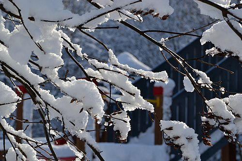 13.11.28雪景色03.jpg