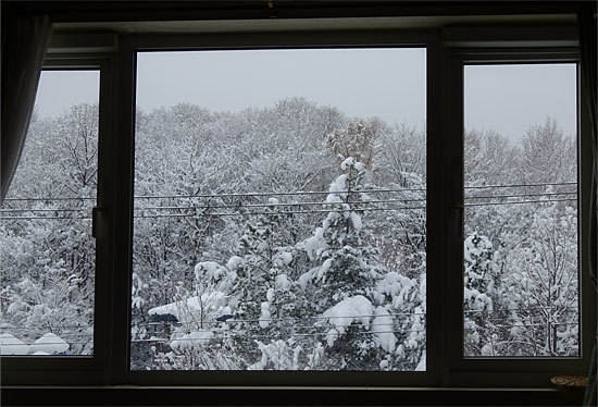 14.11.15雪景色.jpg