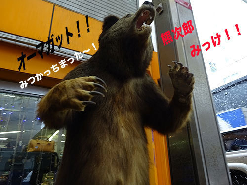 15.3狸小路の熊02.jpg