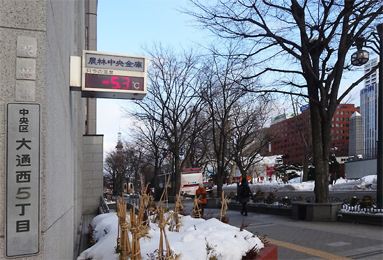 160131雪祭り06.jpg